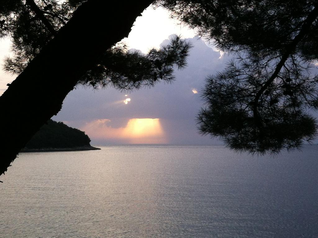 Guesthouse Galeb Врсар Экстерьер фото
