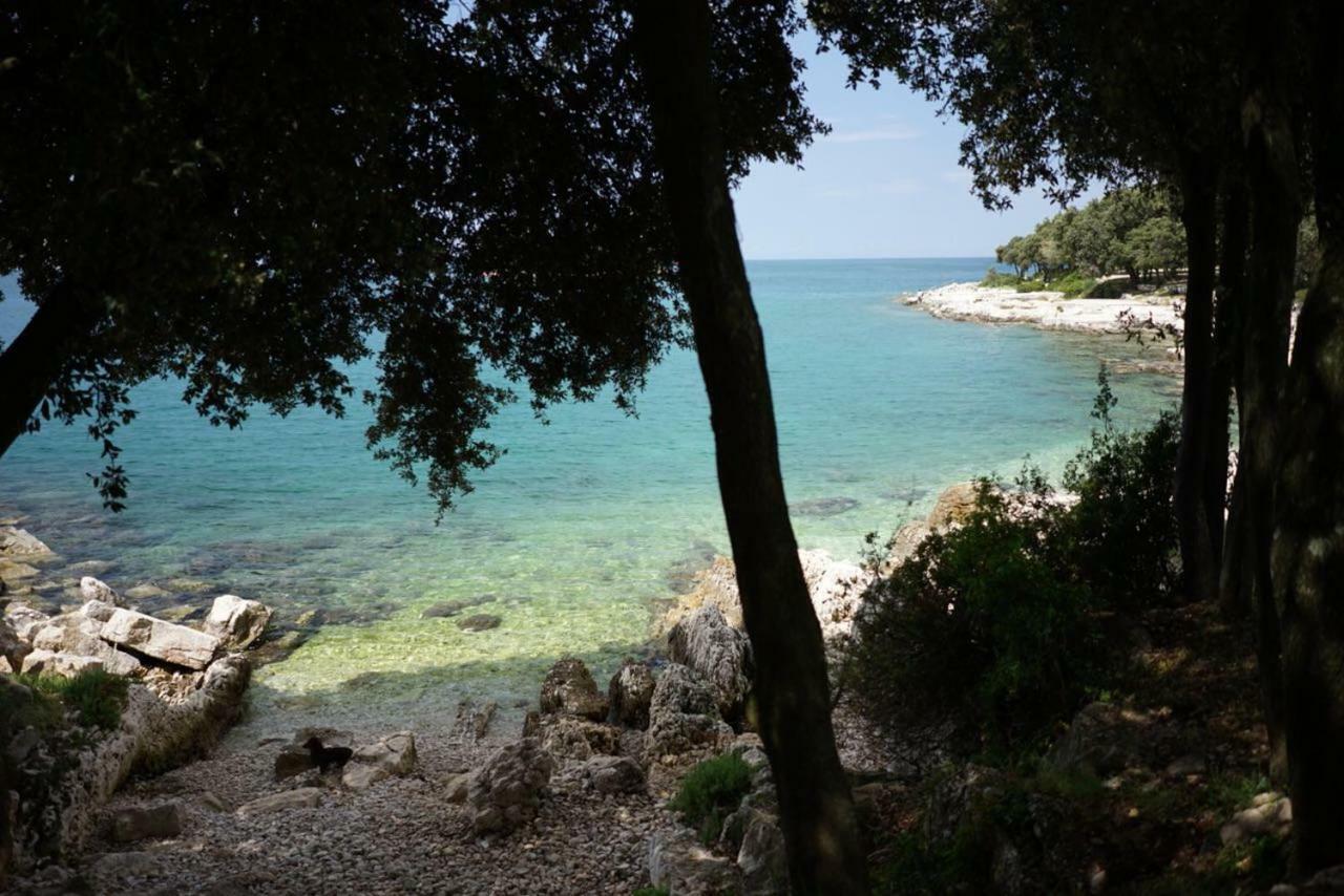 Guesthouse Galeb Врсар Экстерьер фото